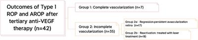 Vascular development analysis: a study for tertiary anti-vascular endothelial growth factor therapy after second reactivation of retinopathy of prematurity